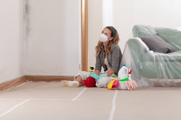 Trusted Black Mold Removal service in Hutto, TX - WQB Mold Removal
